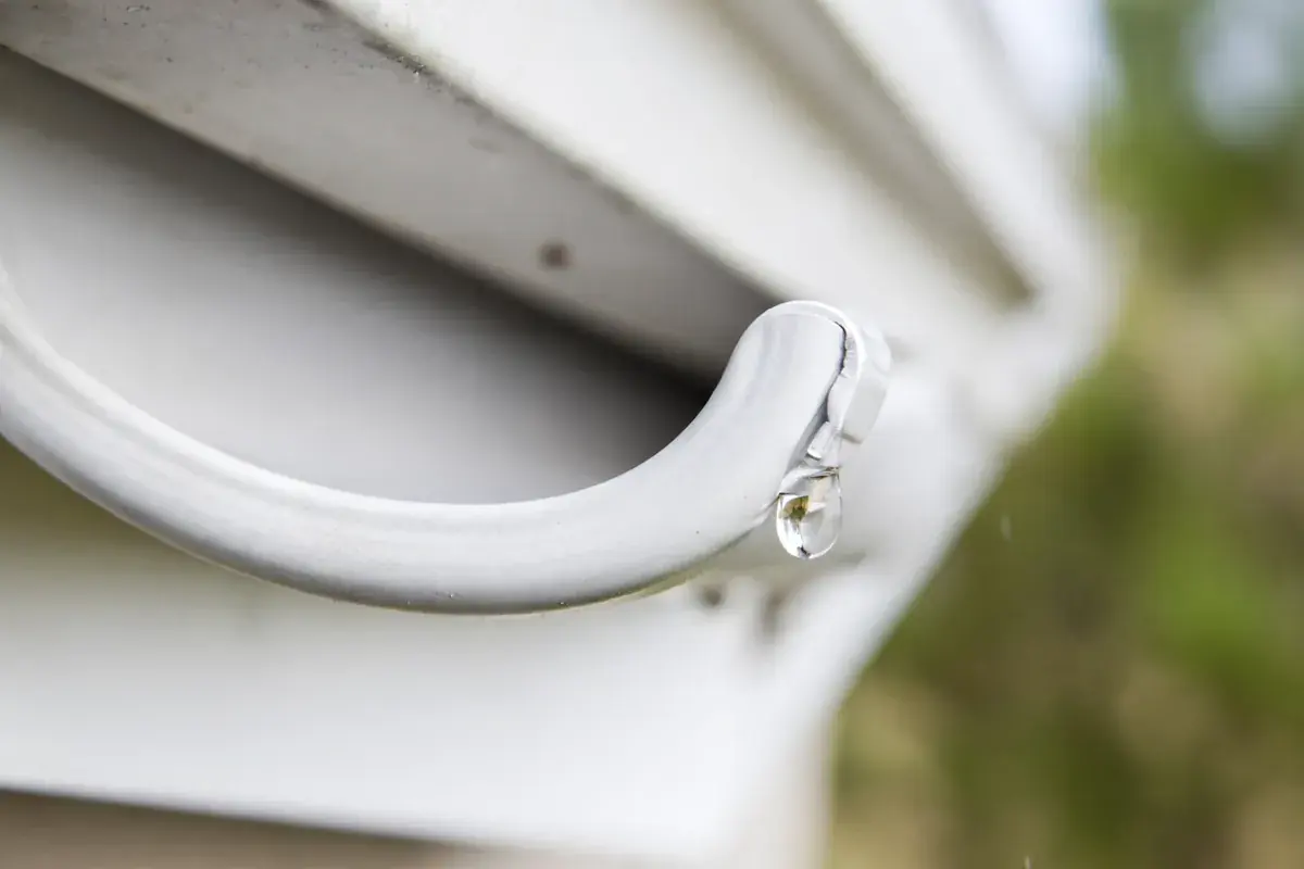 Reverse-curve gutter guard cover curving over the front lip of a white aluminum gutter
